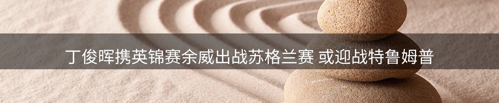 新闻动态