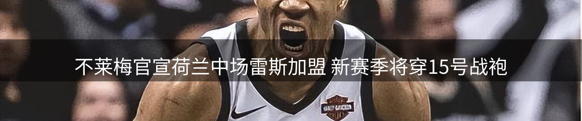 新闻动态