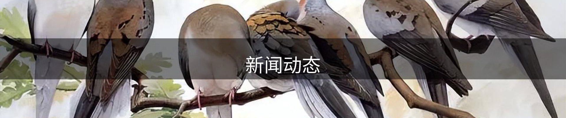 新闻动态