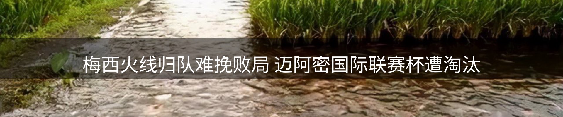 新闻动态