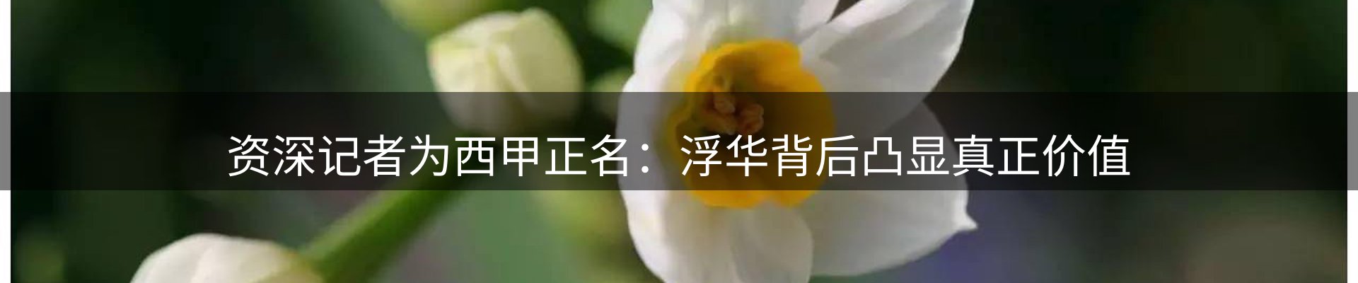 新闻动态