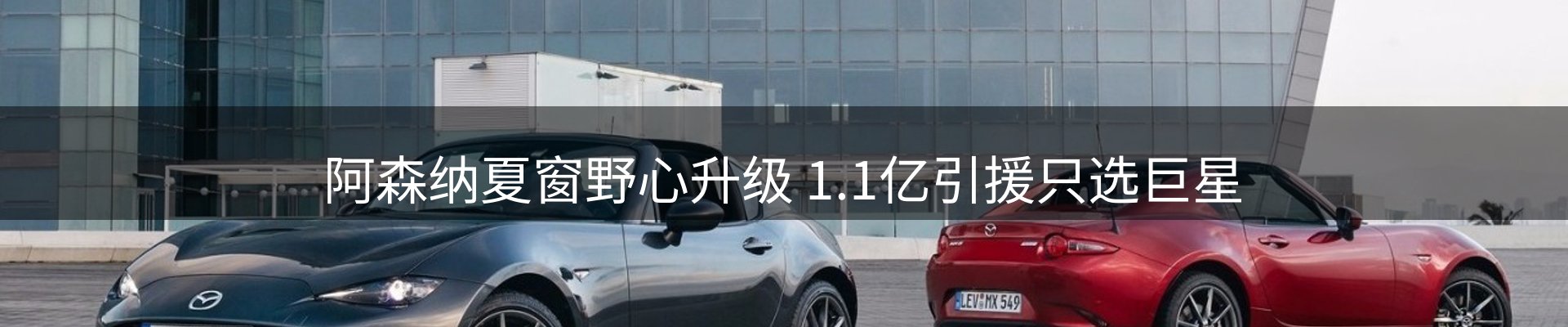 新闻动态